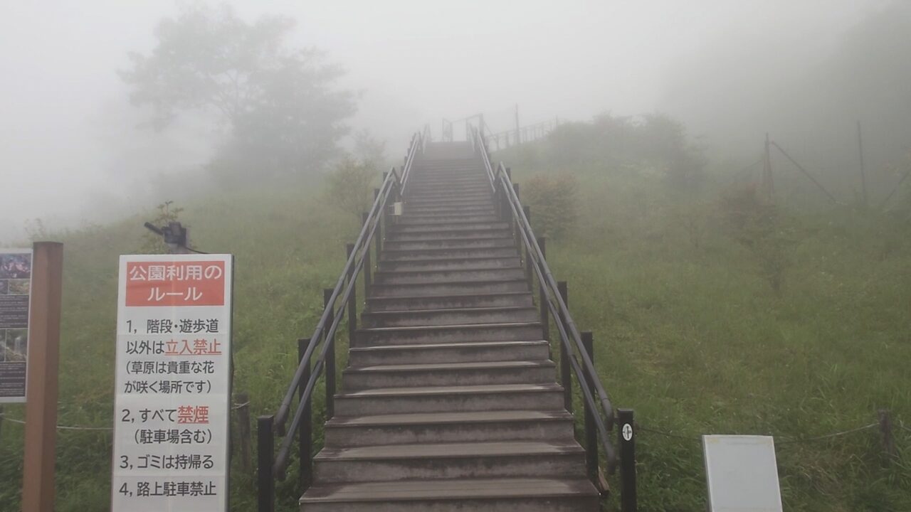 濃い霧で先がほとんど見えない霧降高原キスゲ平の遊歩道