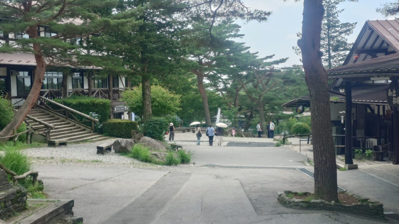 木々に囲まれ自然豊かな那須高原にある南ヶ丘牧場の園内風景